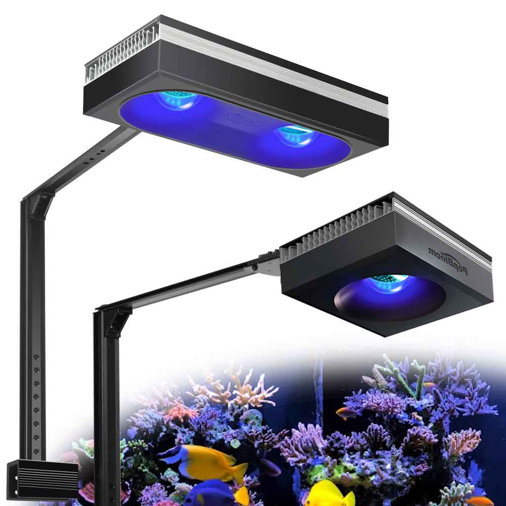 PopBloom RL90/RL180 WiFi Aquar – обзор и цена Marine X Aquarium