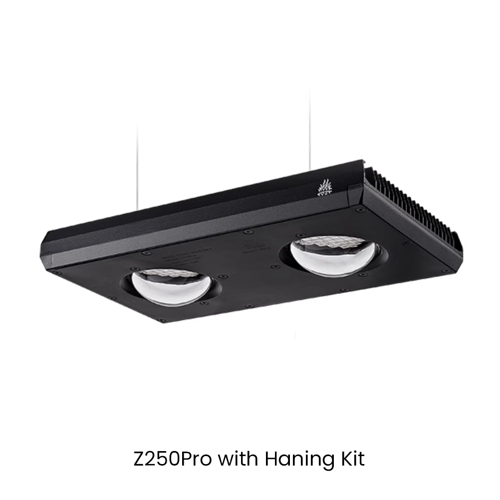 Week AQUA Z250/Z400 Sea LED Re – обзор и цена Aqua Marine Tank