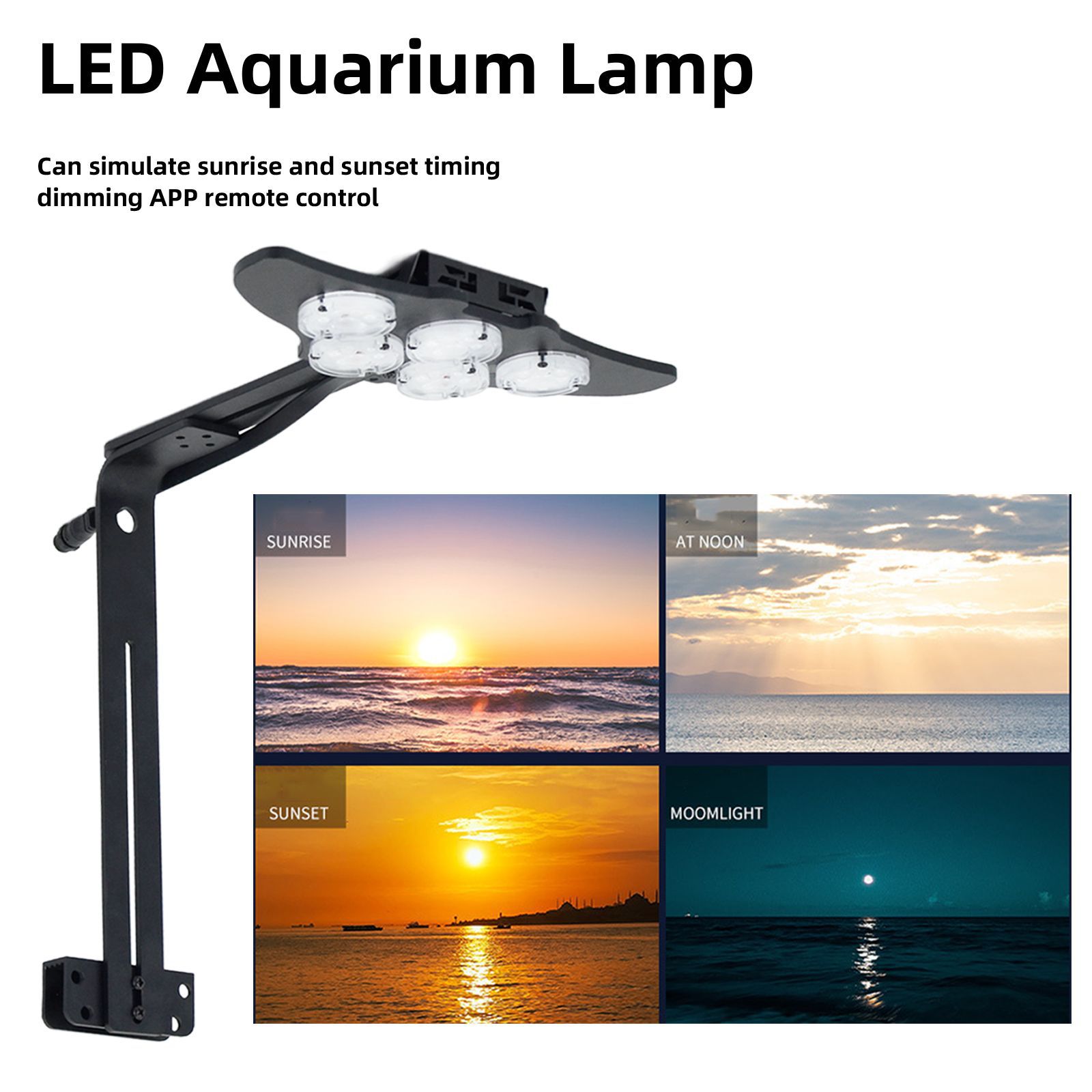 LED Marine Aquarium Coral Aqua – обзор и цена Marine Aquarium & Regional Centre Reviews