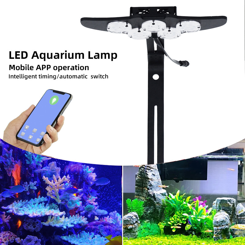 LED Marine Aquarium Coral Aqua – обзор и цена Marine Aquarium & Regional Centre Reviews