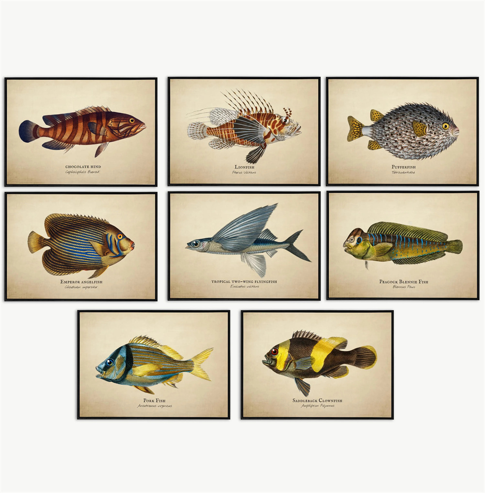 Vintage Pictures Tropical Fish – обзор и цена Marine Life Aquariums