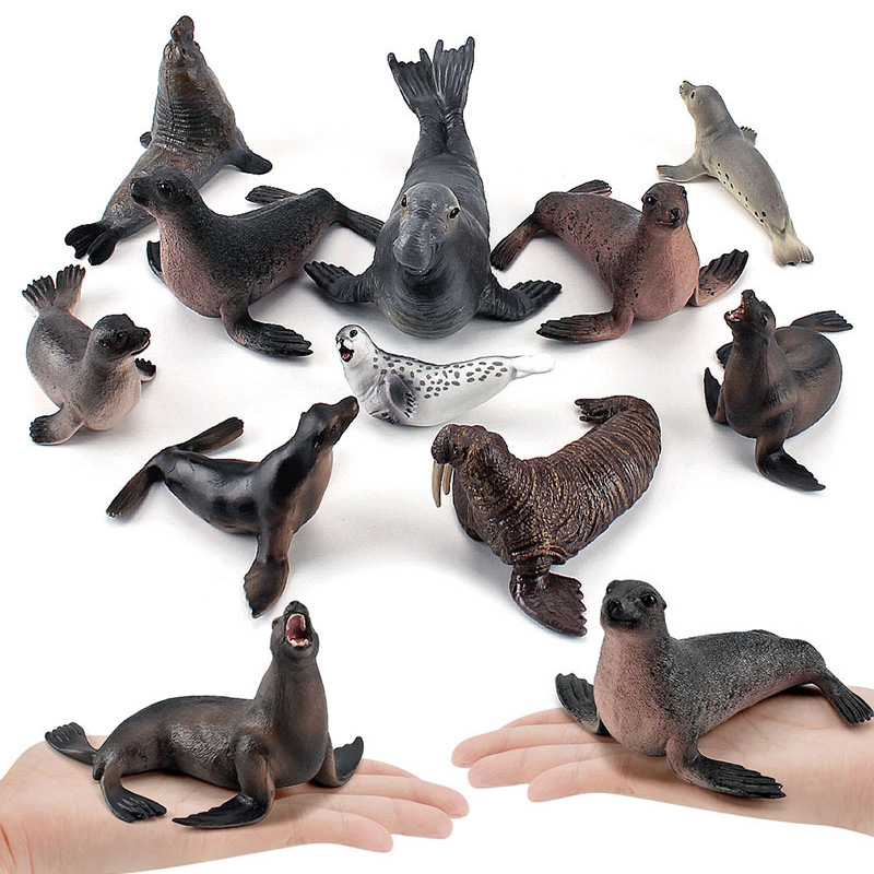 Simulation Ocean Animal Seals  – обзор и цена Marine Life Aquariums