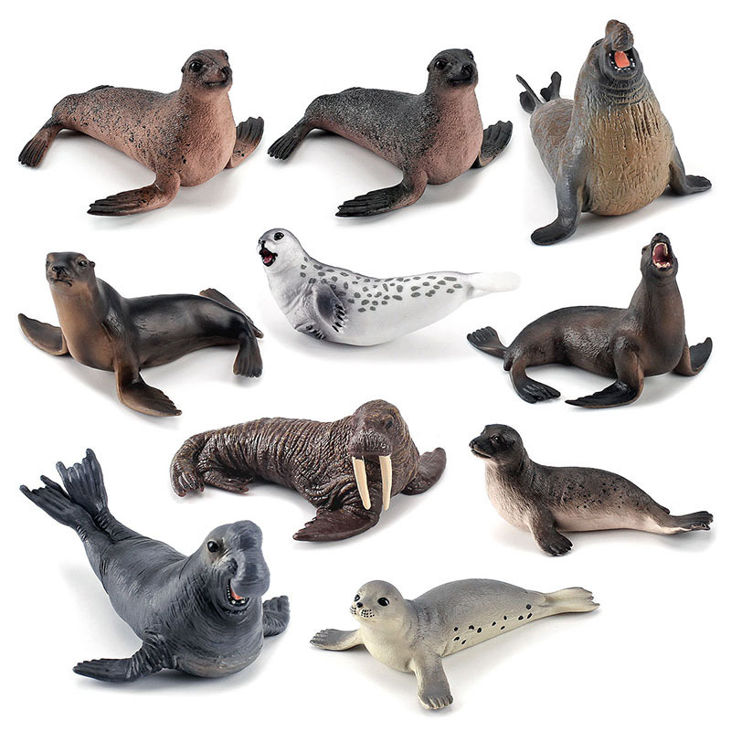 Simulation Ocean Animal Seals  – обзор и цена Marine Life Aquariums