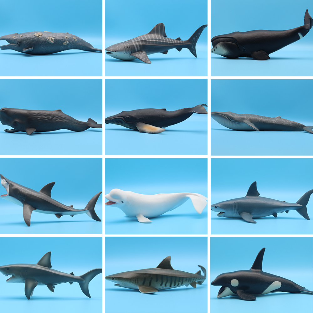 Ocean Sea Life Simulation Kill – обзор и цена Marine Life Aquariums