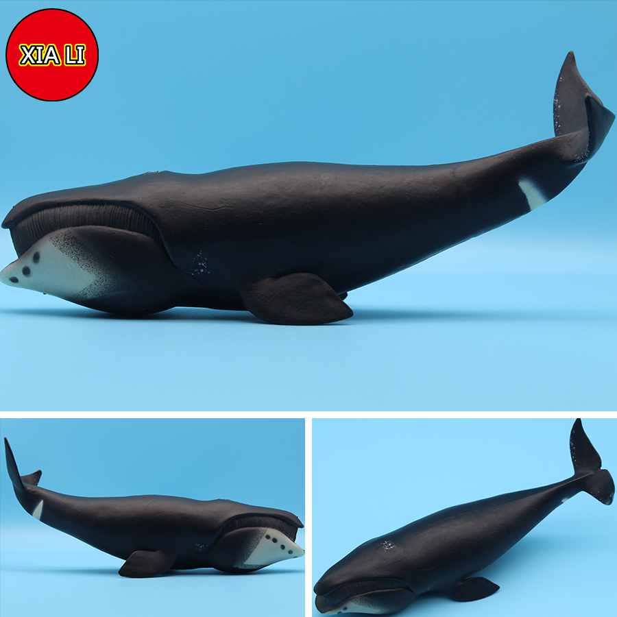 Ocean Sea Life Simulation Kill – обзор и цена Marine Life Aquariums