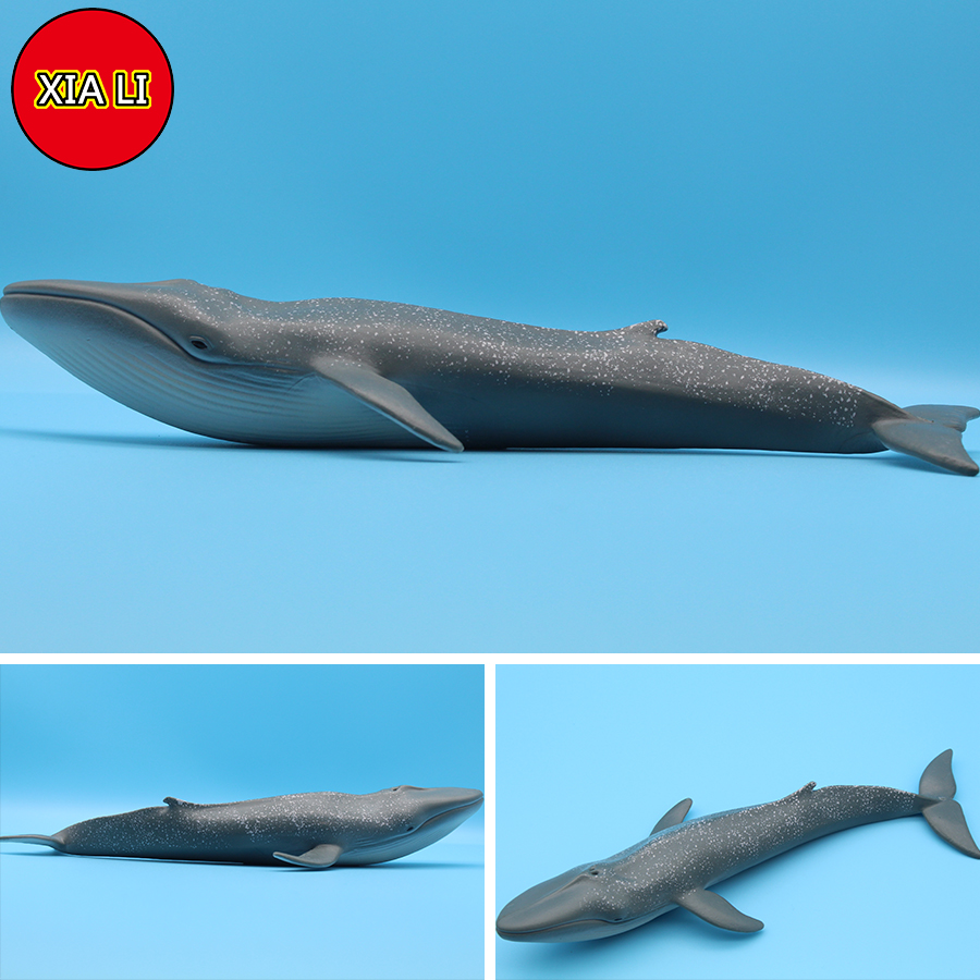 Ocean Sea Life Simulation Kill – обзор и цена Marine Life Aquariums