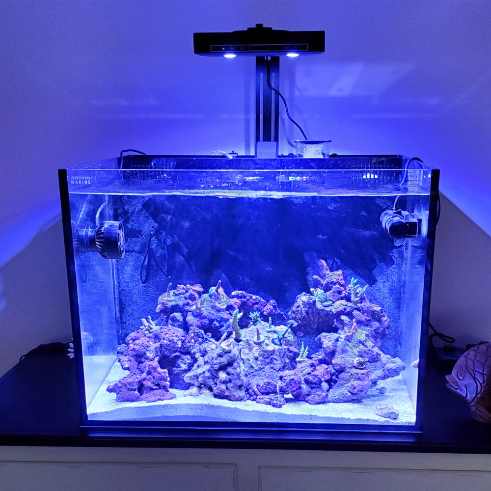 95W Multi-channel Control Syst – обзор и цена Aqua Marine Tank