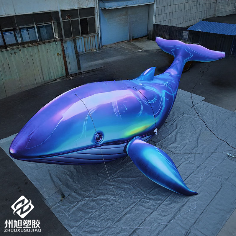 Inflatable blue whale, used as – обзор и цена Marine Life Aquariums