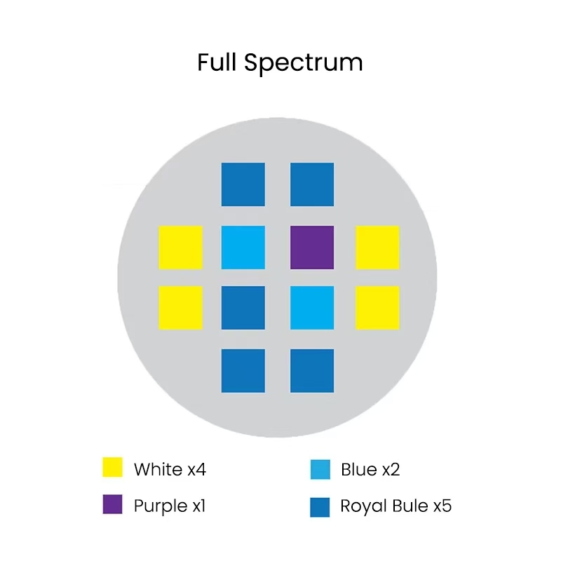 Spectra Aqua Knight V2 36W Ful – обзор и цена Aqua Marine Tank