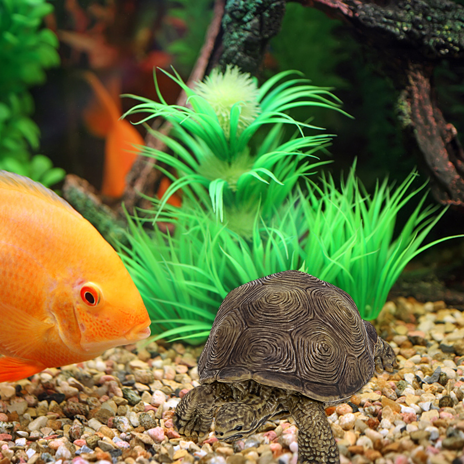 2Pcs Simulation Tortoise Plast – обзор и цена Marine Life Aquariums
