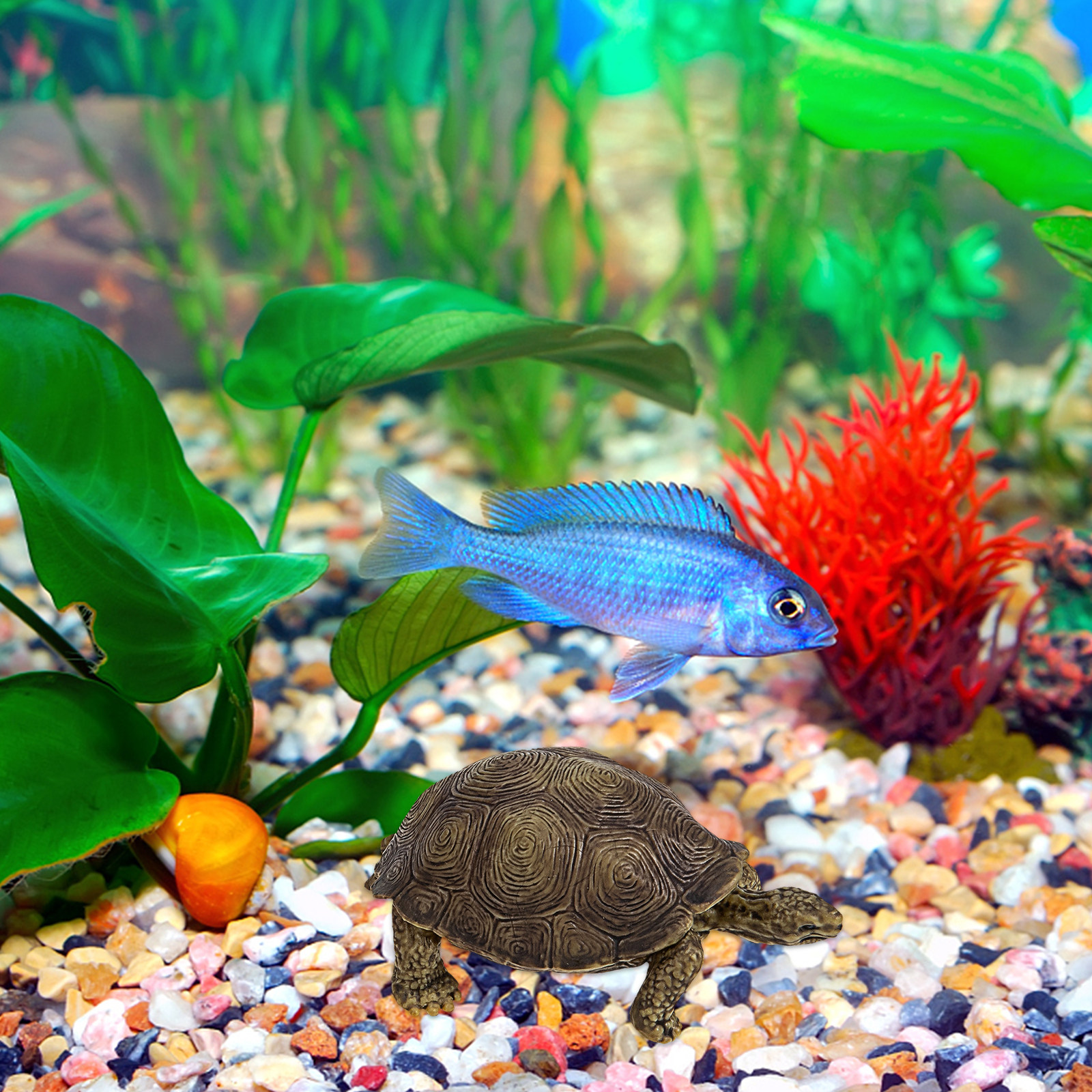 2Pcs Simulation Tortoise Plast – обзор и цена Marine Life Aquariums