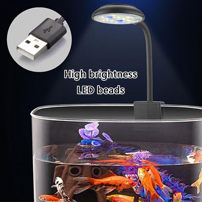 Adjusting Brightness LED Aquar – обзор и цена Marine Life Aquariums