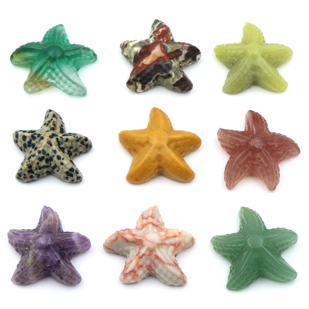 35mm Starfish Shape Statue Mar – обзор и цена Marine Aquarium & Regional Centre Reviews