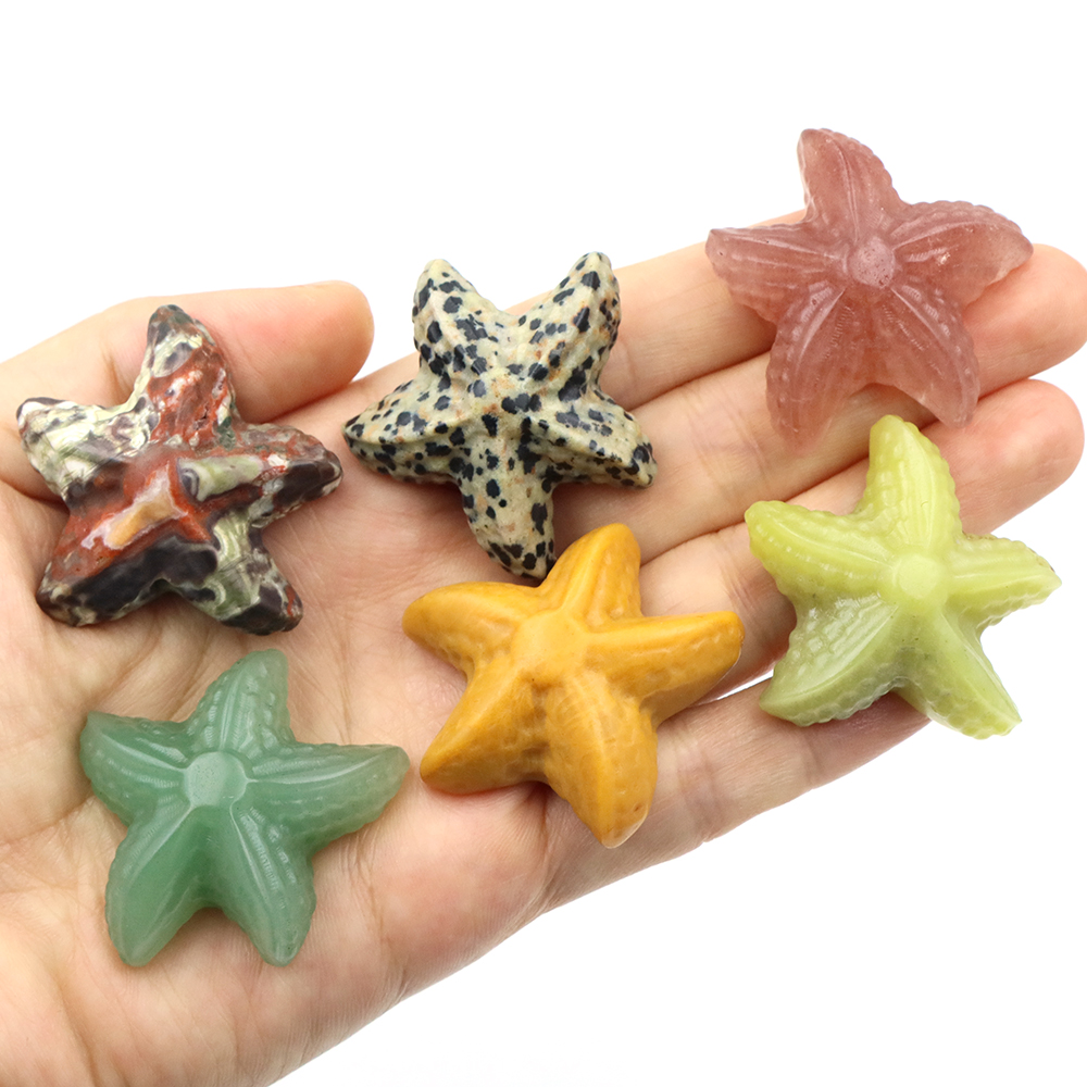 35mm Starfish Shape Statue Mar – обзор и цена Marine Aquarium & Regional Centre Reviews