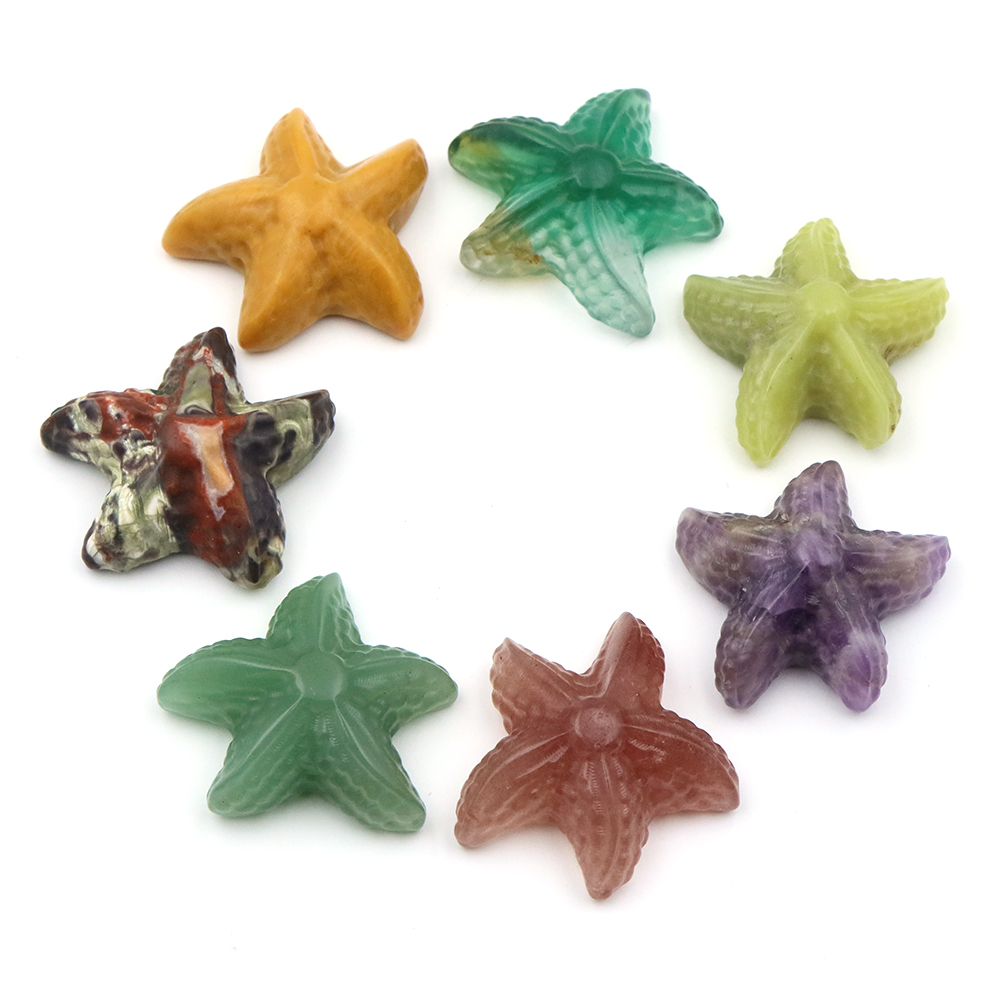 35mm Starfish Shape Statue Mar – обзор и цена Marine Aquarium & Regional Centre Reviews