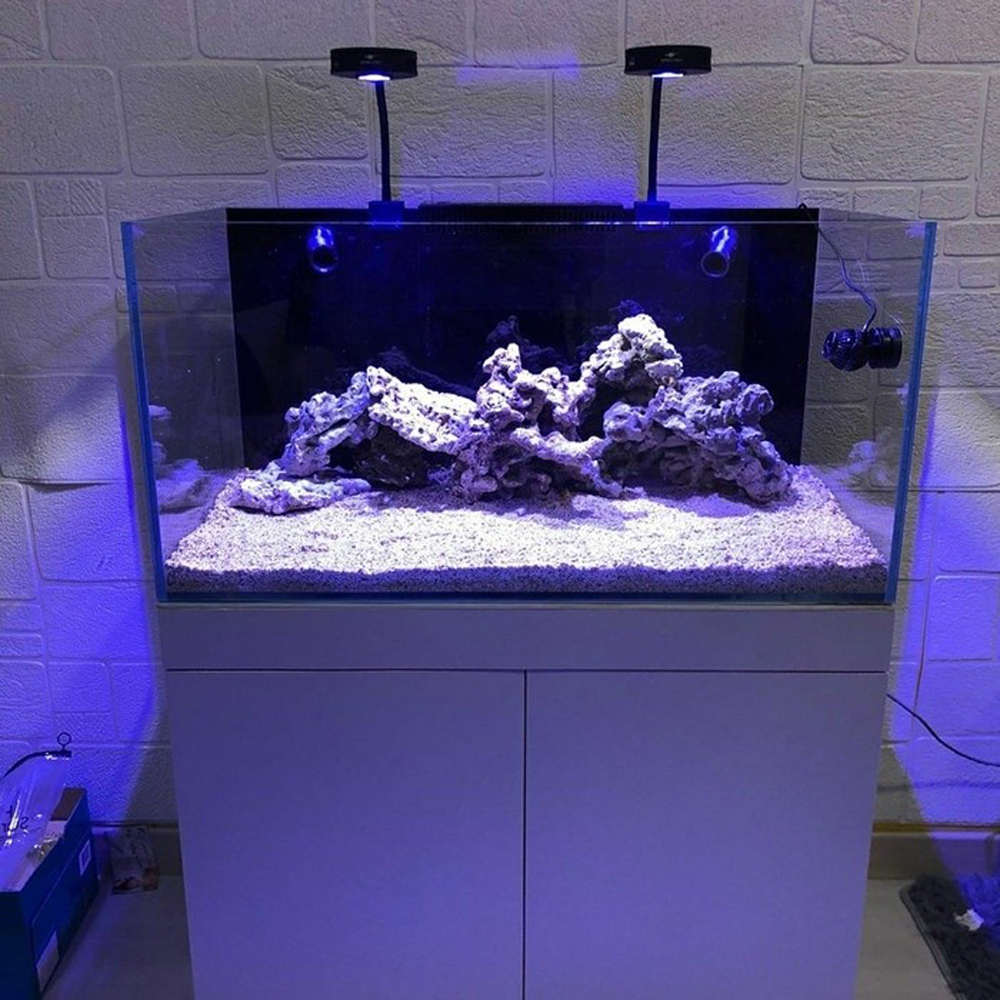 Spectra Aqua Knight V2 36W Ful – обзор и цена Aqua Marine Tank