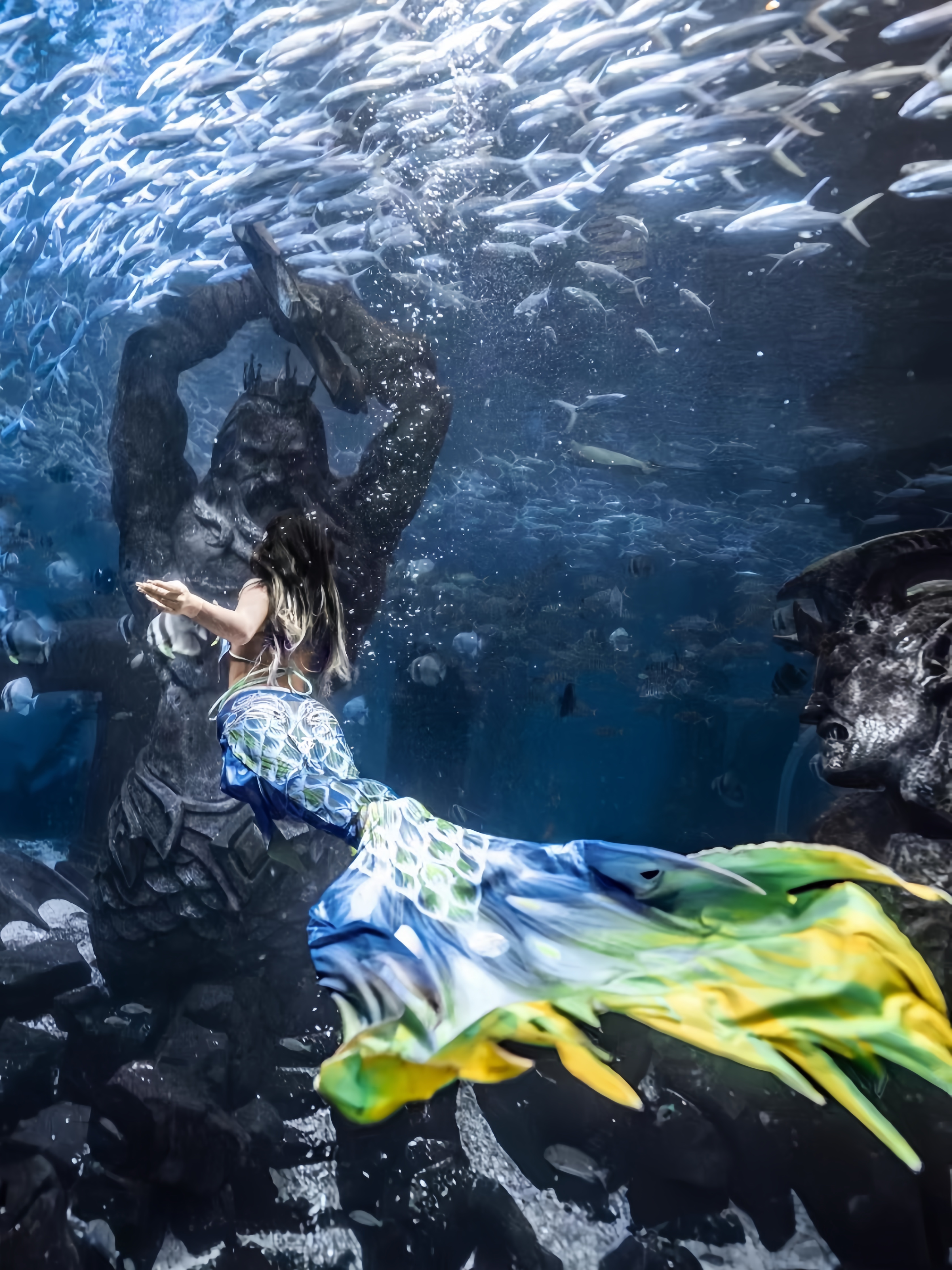 Mermaid Tail Adult Ladies Swim – обзор и цена Aquarium & Marine Museum