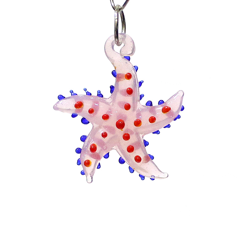 Cute Marine Animal Starfish Ch – обзор и цена Marine Aquarium & Regional Centre Reviews