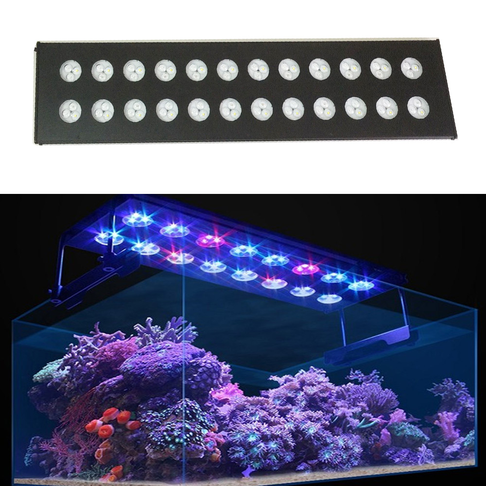 Spectra Aqua Helios WiFi Progr – обзор и цена Aqua Marine Tank
