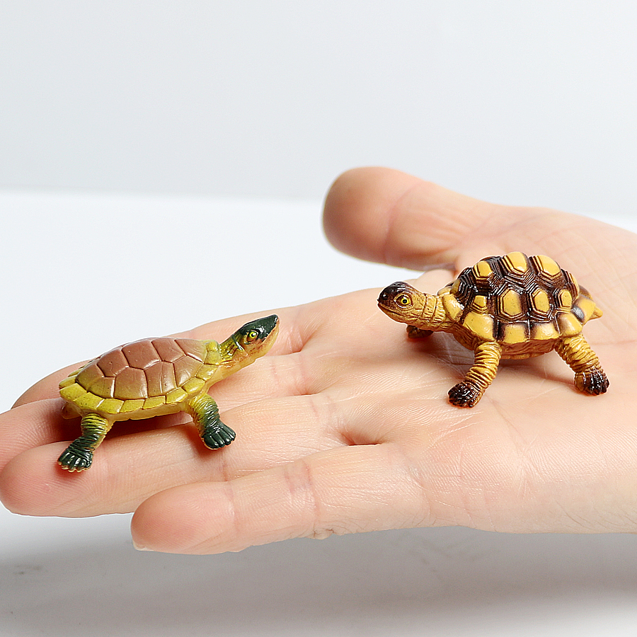 Realistic Miniatures Marine Li – обзор и цена Marine Aquarium & Regional Centre Reviews